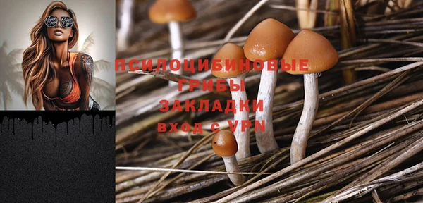 кокаин Богданович