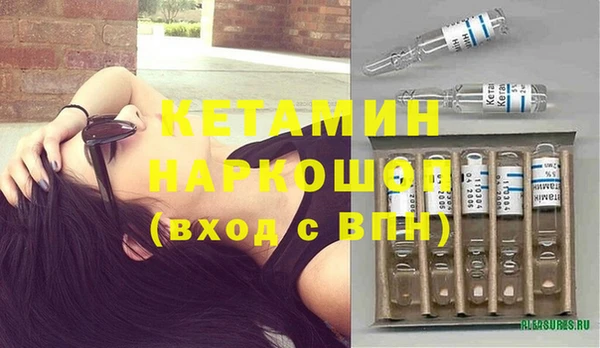 прущие грибы Семилуки