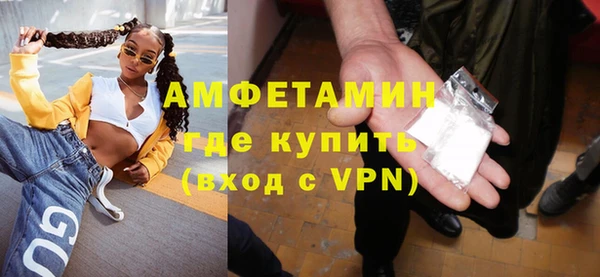 сатива Ростов